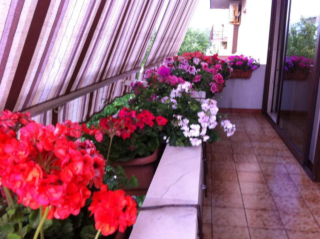 B&B Casa Mia Alghero Zewnętrze zdjęcie