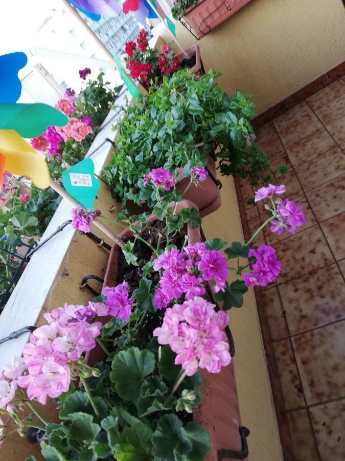 B&B Casa Mia Alghero Zewnętrze zdjęcie